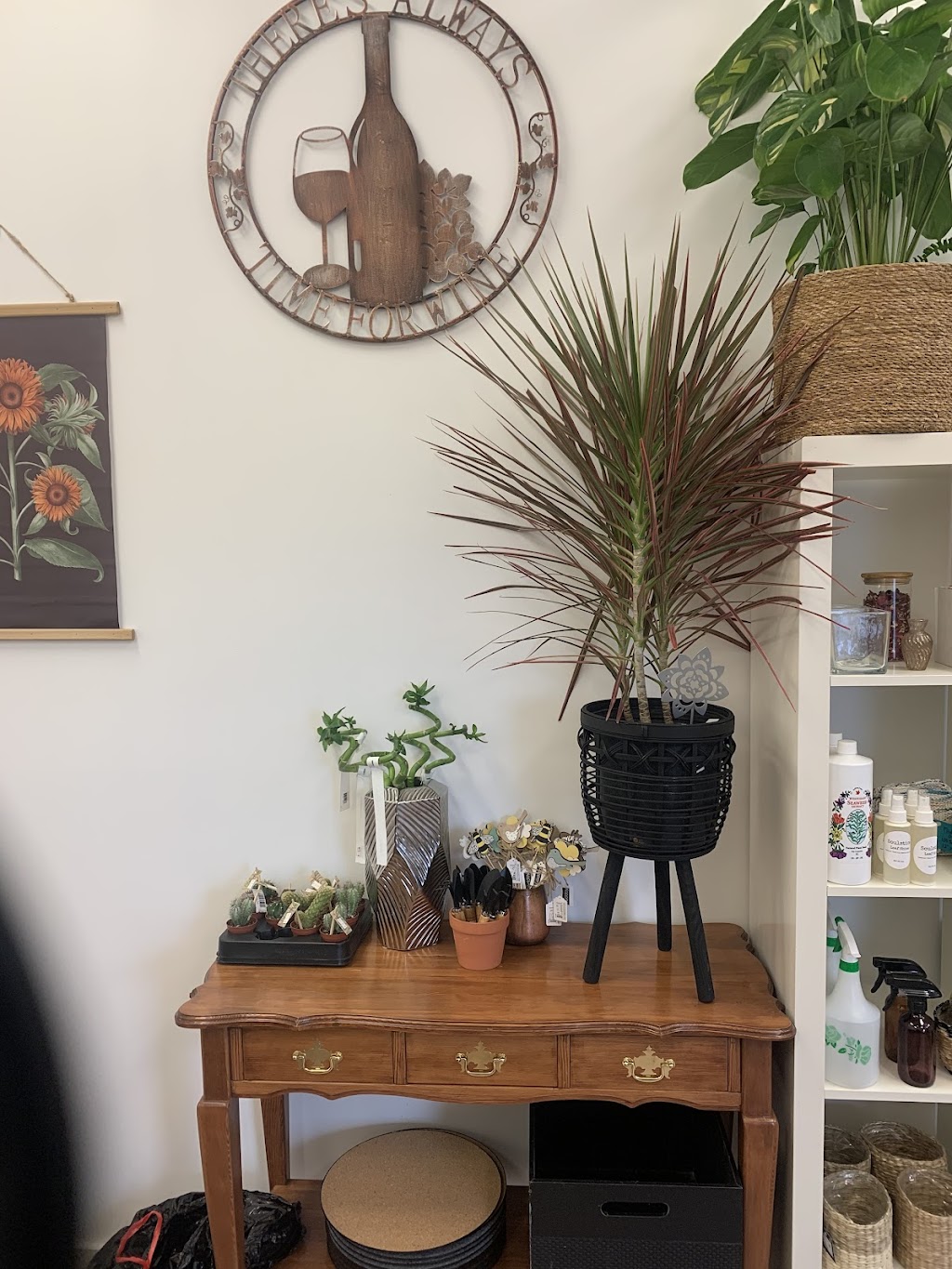 Soulstice plants and gifts | 17 Gatacre St, Ladysmith, BC V9G 1A1, Canada | Phone: (250) 734-1935