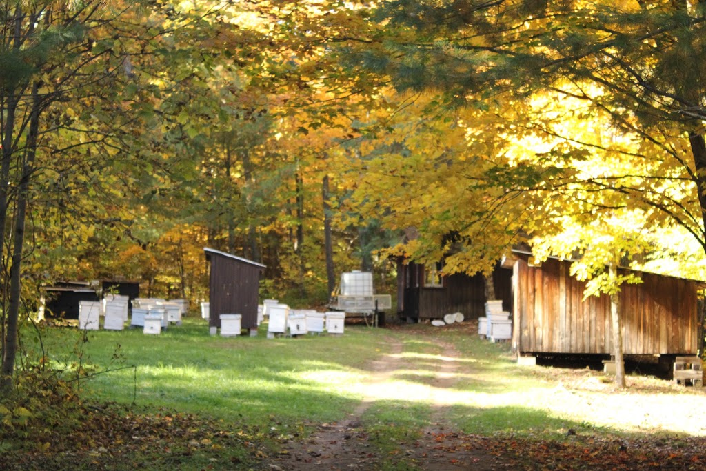 Le petit rucher du Nord | 362 QC-323, Brébeuf, QC J0T 1B0, Canada | Phone: (819) 421-1858