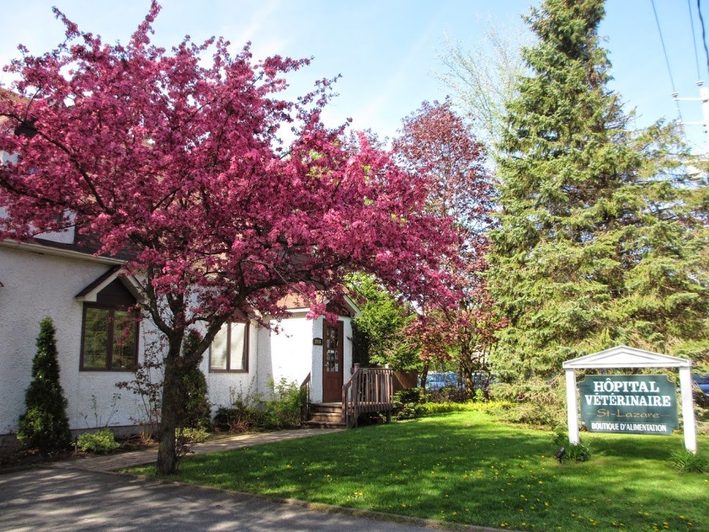 St Lazare Veterinary Hospital | 2050 Chemin Ste Angélique, Saint-Lazare, QC J7T 2Y7, Canada | Phone: (450) 455-8179