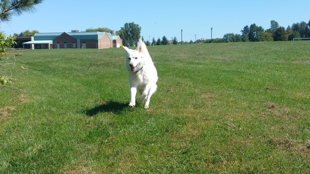 Andy Shields Park | 1455 Old Prescott Rd, Greely, ON K4P 1A7, Canada | Phone: (613) 580-2400