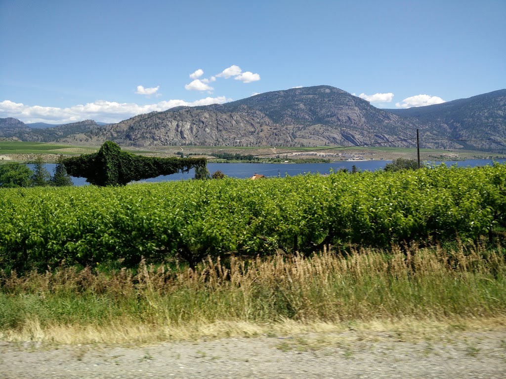 Peach Hill Farm Market | 9105 Okanagan Hwy, Osoyoos, BC V0H 1V2, Canada | Phone: (250) 495-5060