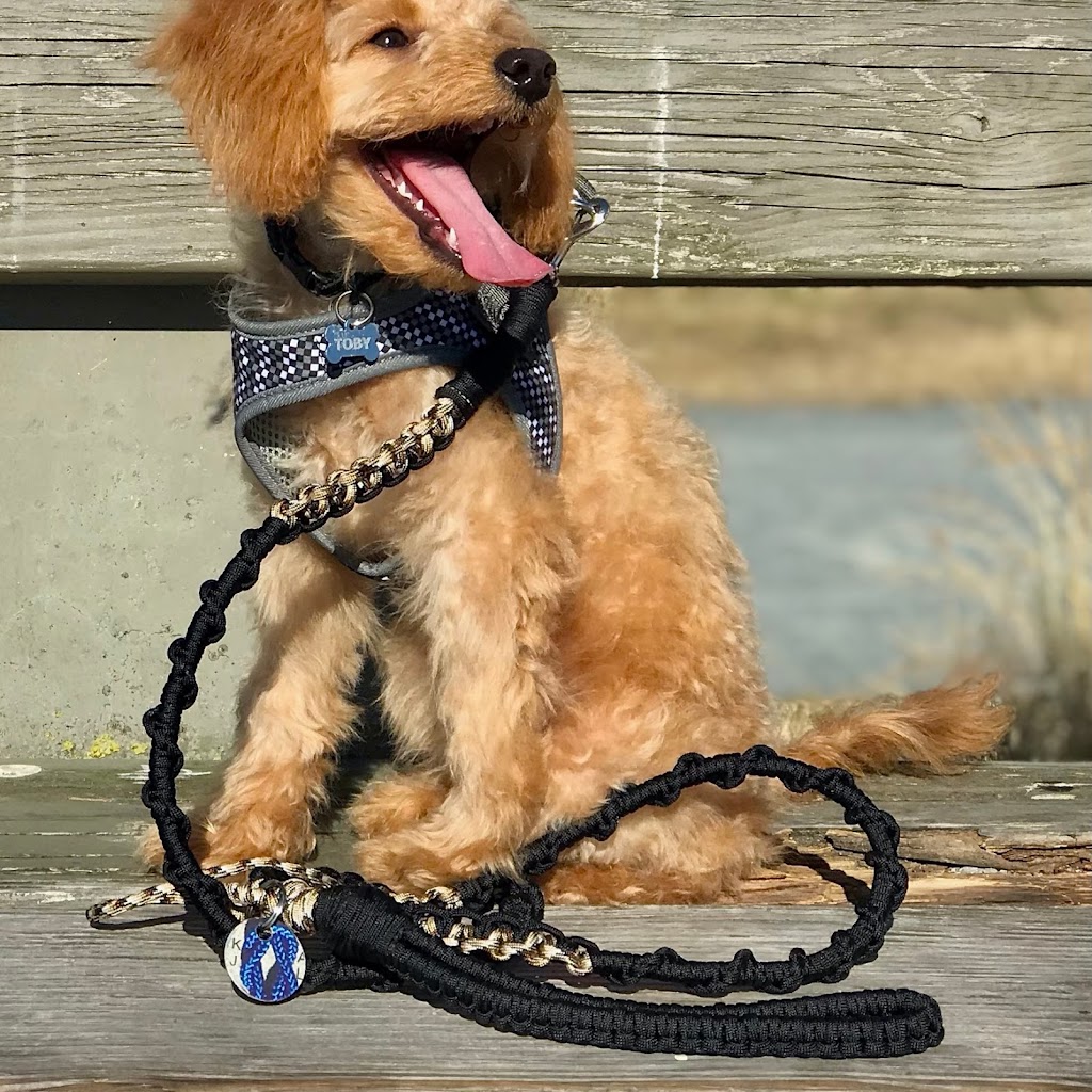Knot Just A Leash | 123 Any Street, Richmond, BC V6X 4E3, Canada | Phone: (604) 716-6406