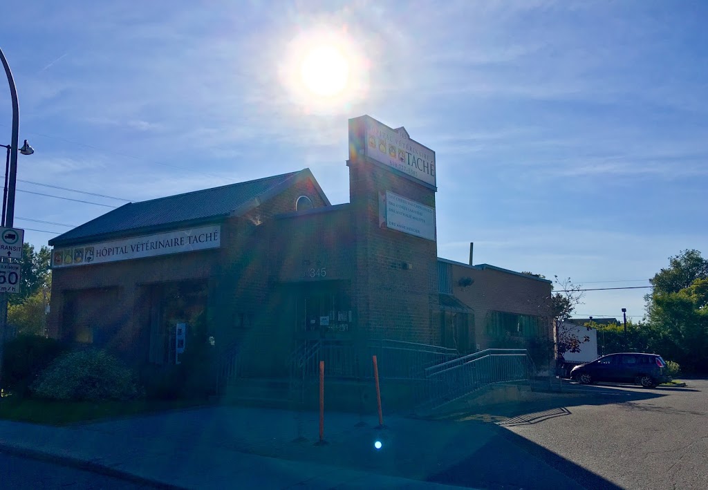 Veterinary Hospital Taché | 345 Boul Alexandre-Taché, Gatineau, QC J9A 1M3, Canada | Phone: (819) 777-5583