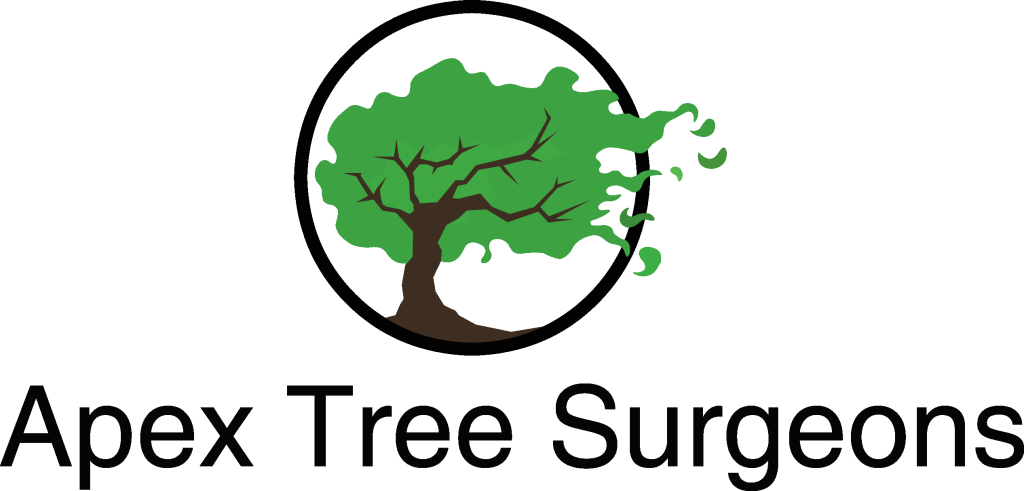 Apex Tree Surgeons - Tree Services Orillia | 4 Cheslock Cres, Orillia, ON L0K 2G0, Canada | Phone: (705) 955-7424