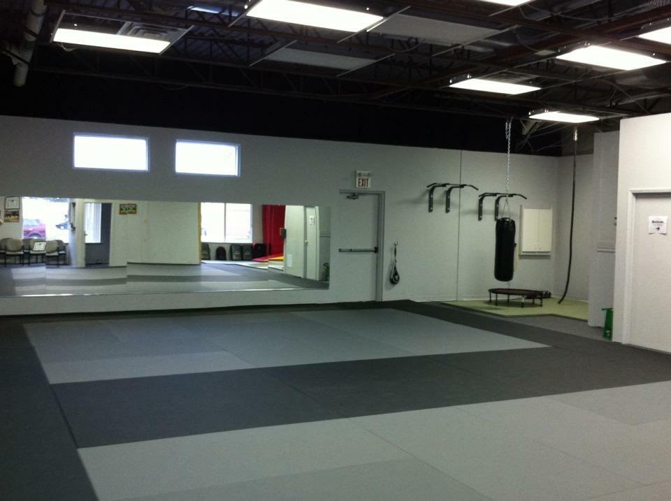 The KARATE Dojo | 211 Mill St, Angus, ON L0M 1B2, Canada | Phone: (705) 321-9177
