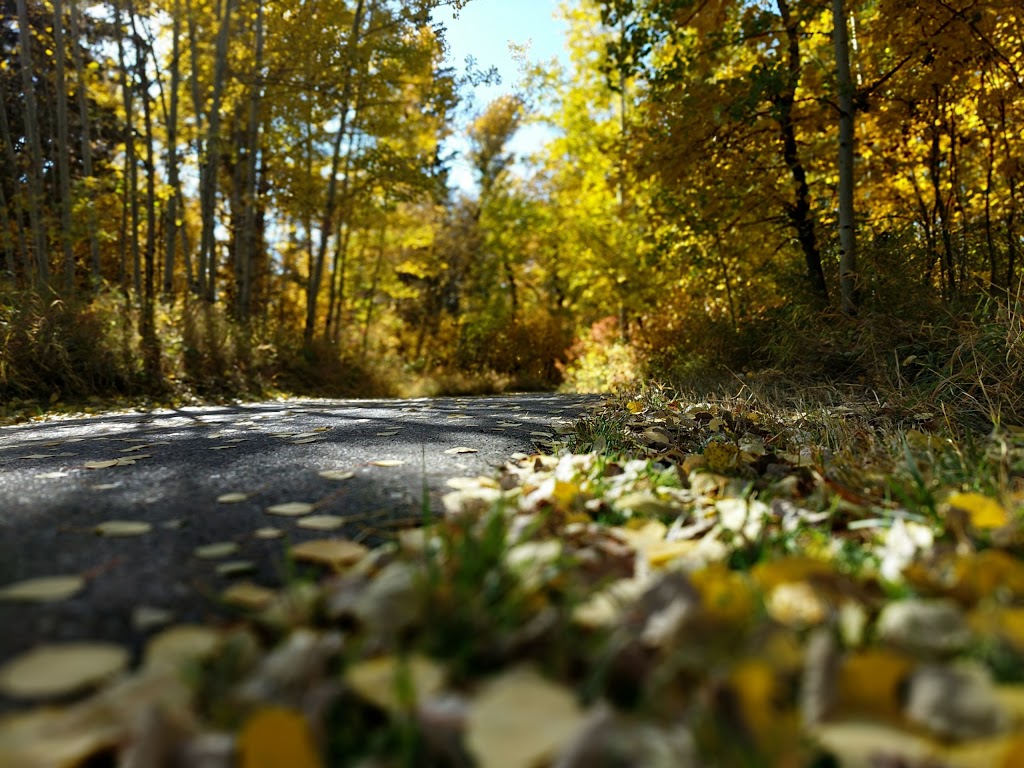 Votiers Flats Fish Creek Park | 13511 Elbow Dr SW, Calgary, AB T2W 2P2, Canada