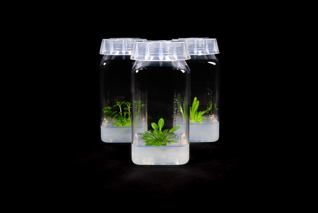 Phyto Sciences Distribution | 5-2675 Boul des Trinitaires, Montréal, QC H4E 2R7, Canada | Phone: (514) 884-3358