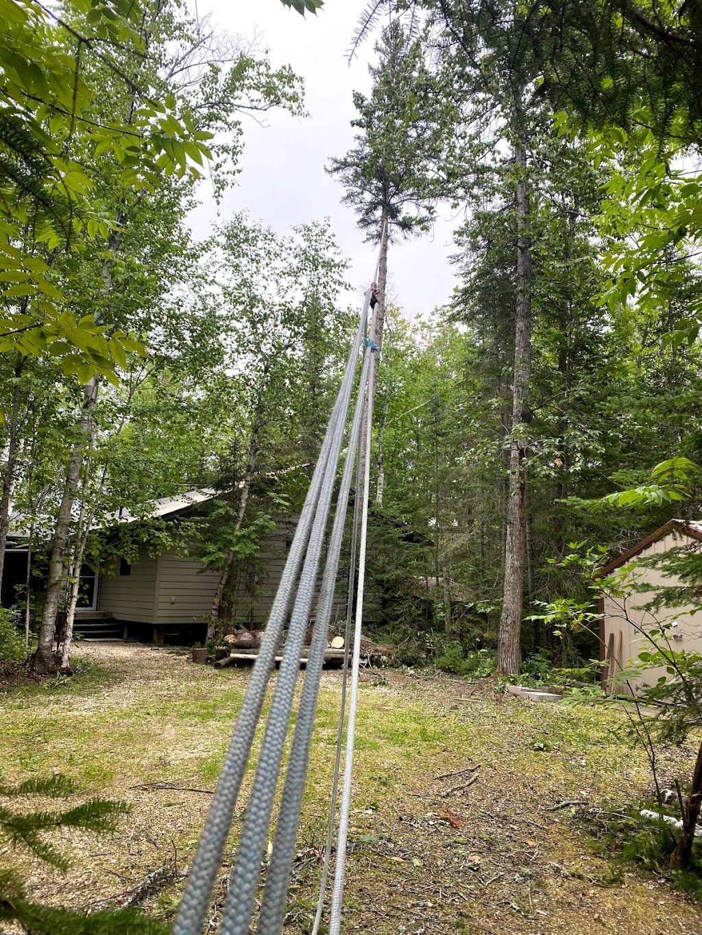 Alpha Forestry Solutions | 71 Lynnwood Dr, Traverse Bay, MB R0E 2A0, Canada | Phone: (204) 782-2043