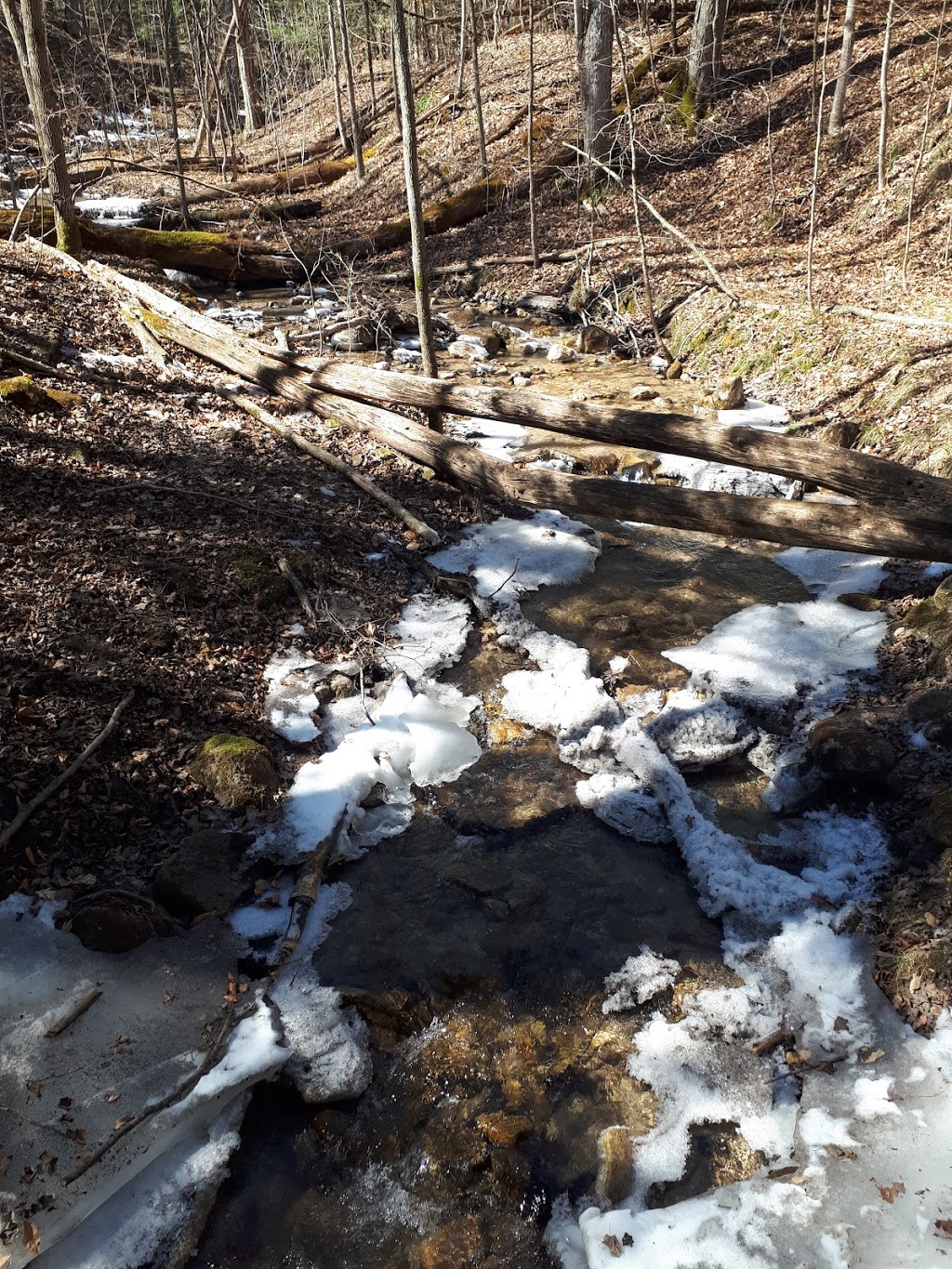 Hockley Valley Provincial Nature Reserve | 794122 3rd Line EHS, Laurel, ON L0N 1L0, Canada | Phone: (705) 435-2498