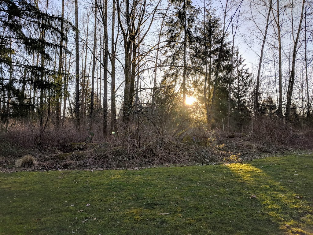 Bucci Park | 8594 166 St, Surrey, BC V4N 3H1, Canada