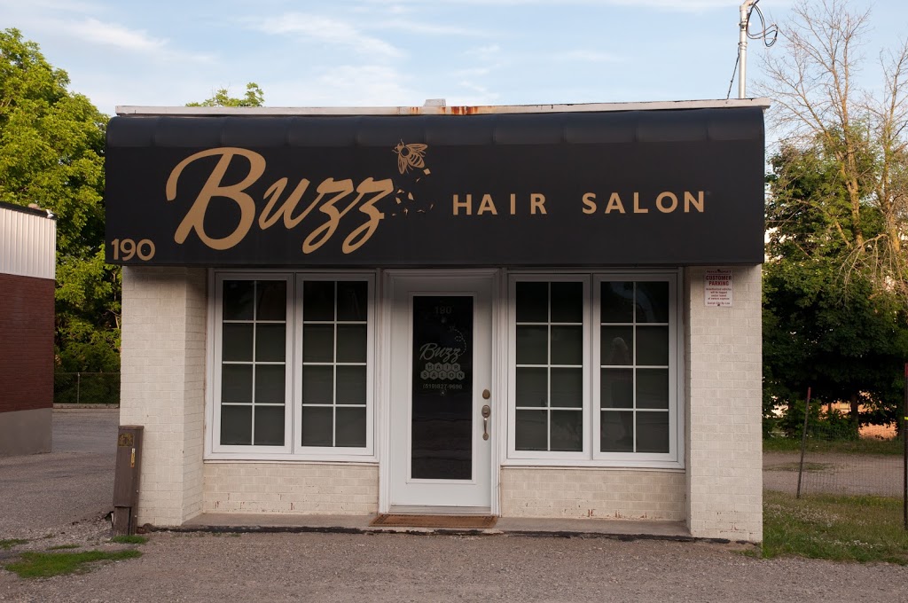 Buzz Hair Salon | 190 Waterloo Av, Guelph, ON N1H 3J3, Canada | Phone: (519) 827-9696