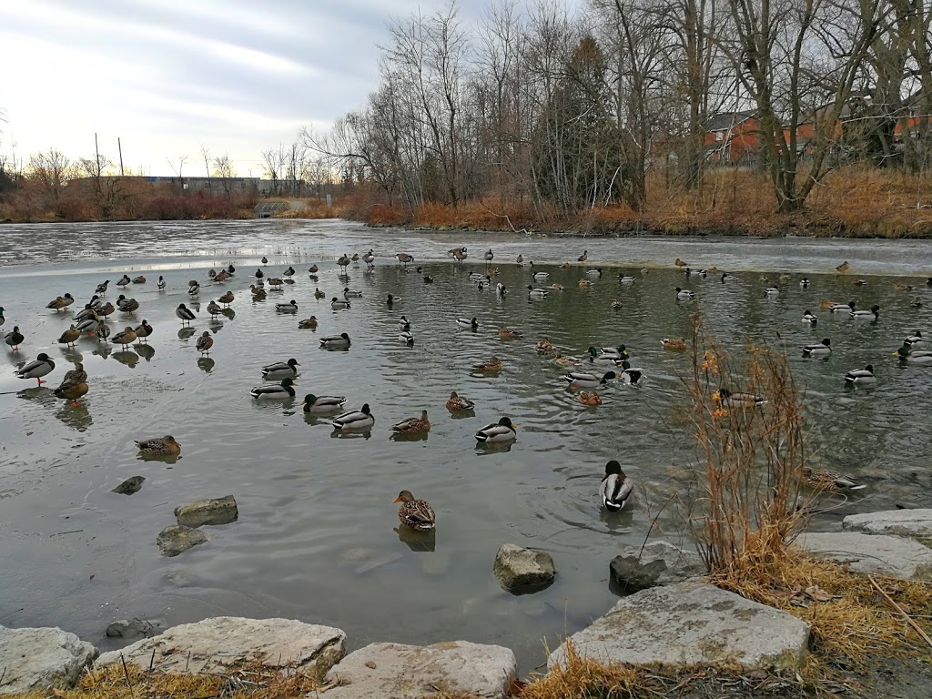 Barrhill Pond | 601 Barrhill Rd, Vaughan, ON L6A 1M8, Canada