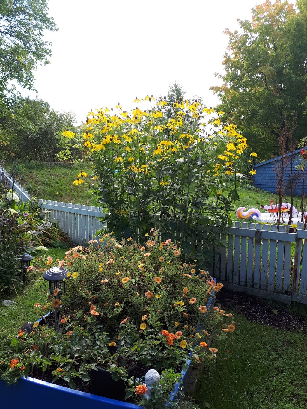 Gîte Fleury | 102 Rue Saint Joseph, Baie-Saint-Paul, QC G3Z 1J1, Canada | Phone: (418) 435-3668