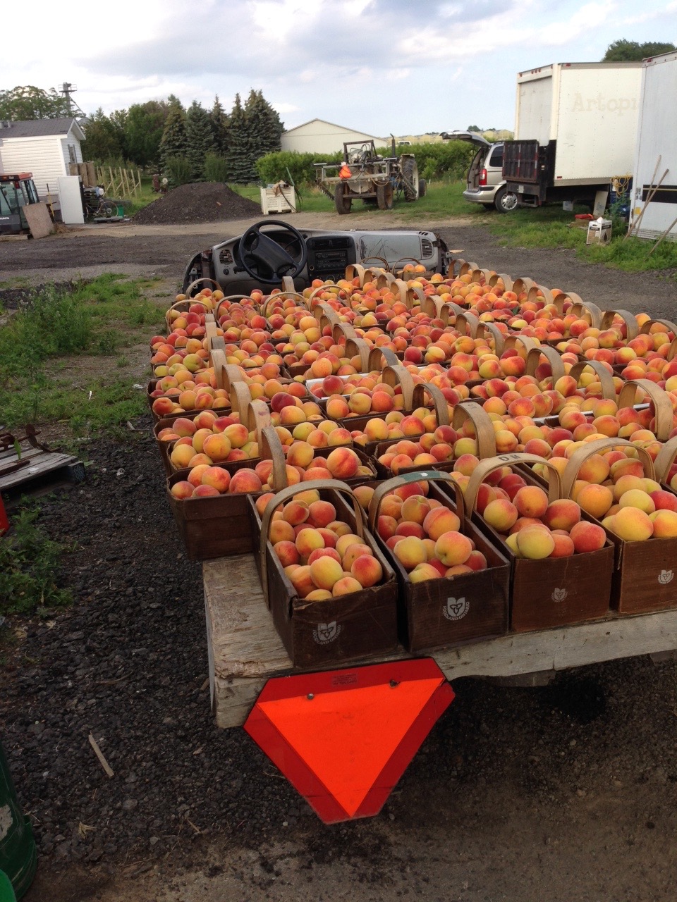 Bizjak Farms | 3320 First Ave, Vineland Station, ON L0R 2E0, Canada | Phone: (289) 213-3327