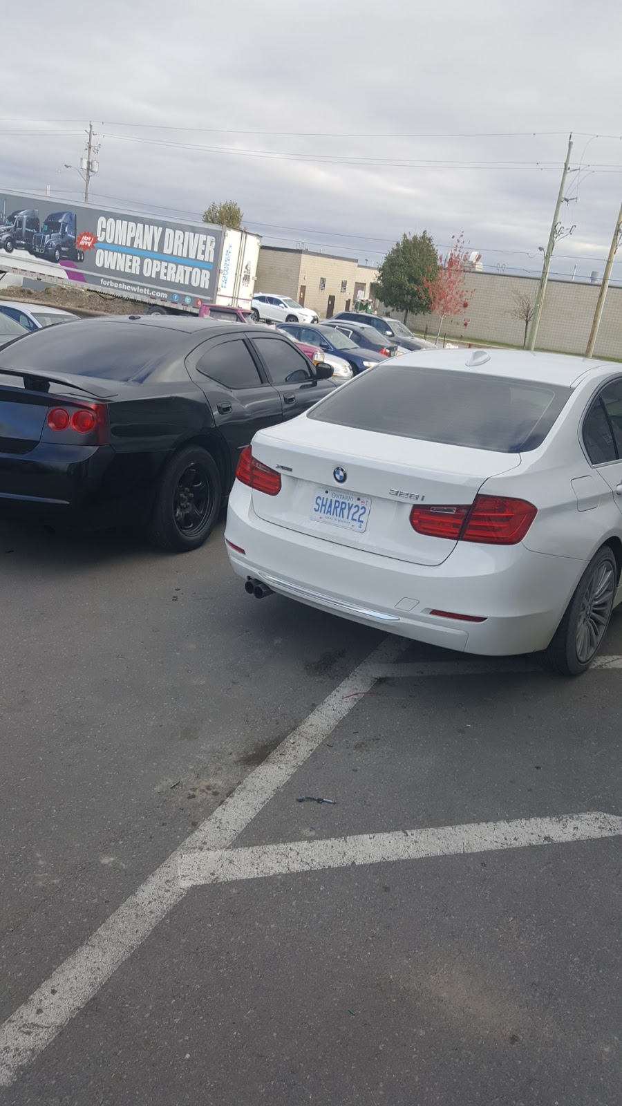 Peel Collision Center | 18 Hale Rd, Brampton, ON L6W 3M1, Canada | Phone: (905) 457-9300
