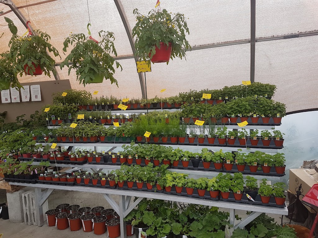 Centre jardin et travaux Pamaka | 4331 QC-112, East Broughton, QC G0N 1G0, Canada | Phone: (418) 427-2817