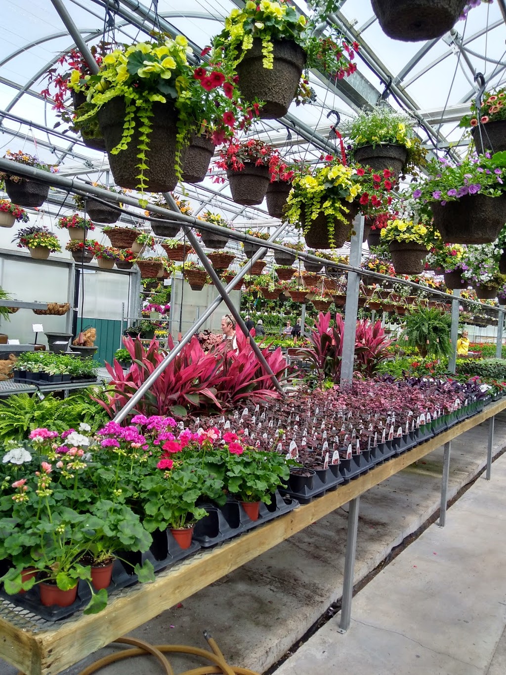 Greenhouse On The River | 4115 County Rd 32, Douro-Dummer, ON K0L 2H0, Canada | Phone: (705) 652-8154