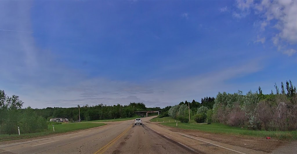 Pereira & Moniz Tree Nurseries Ltd. | 25103 Township Rd 550, Alberta T8T 1N8, Canada | Phone: (780) 973-3142