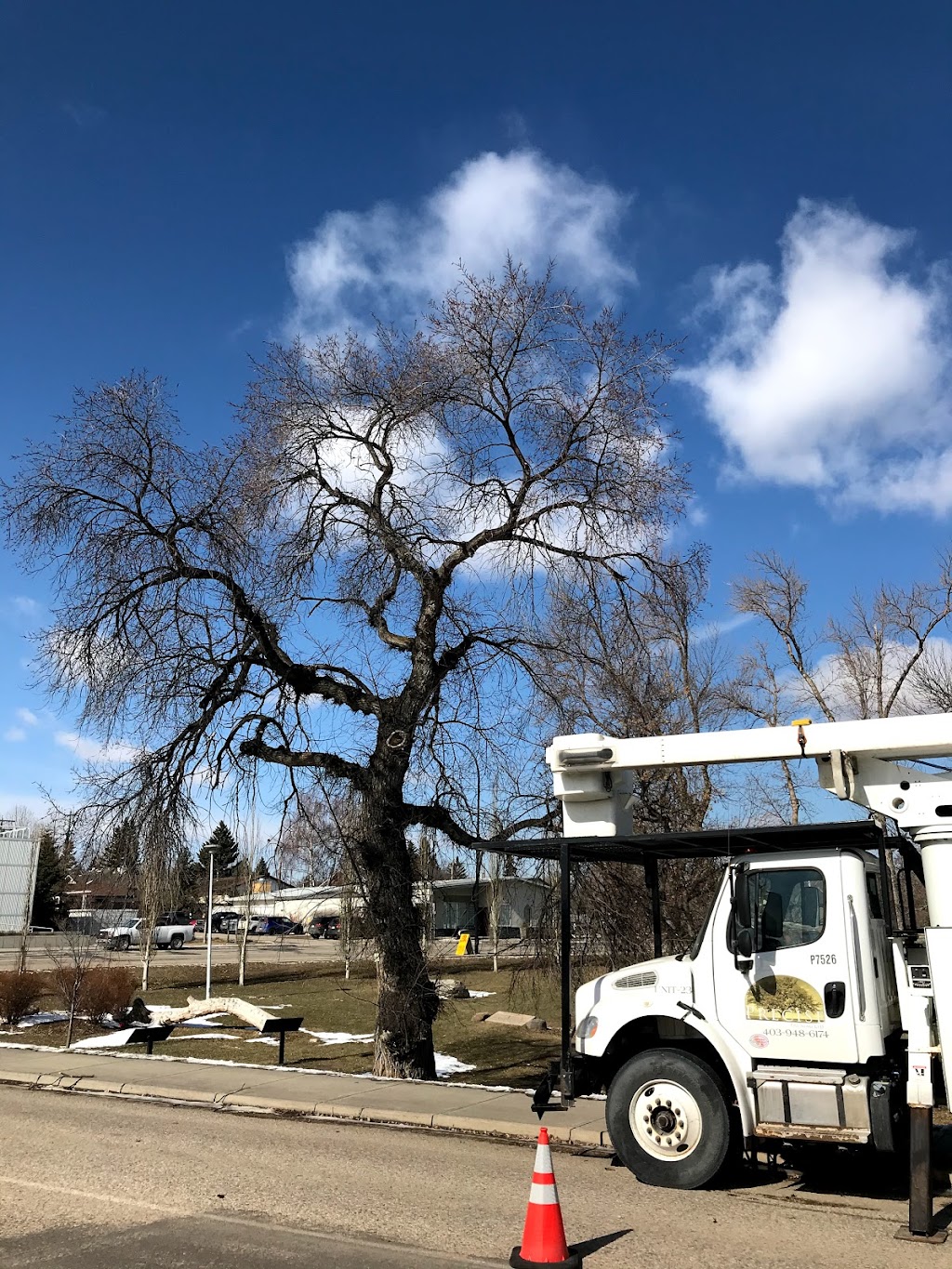 Precise Pruning Ltd | 30 East Lake Hill NE, Airdrie, AB T4A 2K2, Canada | Phone: (403) 948-6174