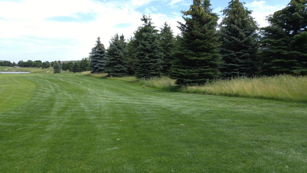 Sysrnarc Inc | 90 Braid Bend, Whitchurch-Stouffville, ON L4A 1R8, Canada | Phone: (905) 642-6950