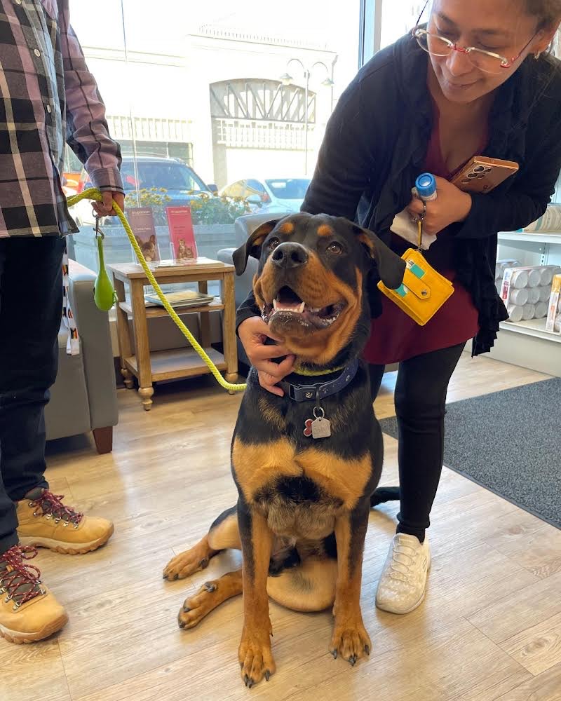 VCA Canada Marlborough Animal Hospital | 1440 52 St NE #186, Calgary, AB T2A 4T8, Canada | Phone: (403) 273-4664