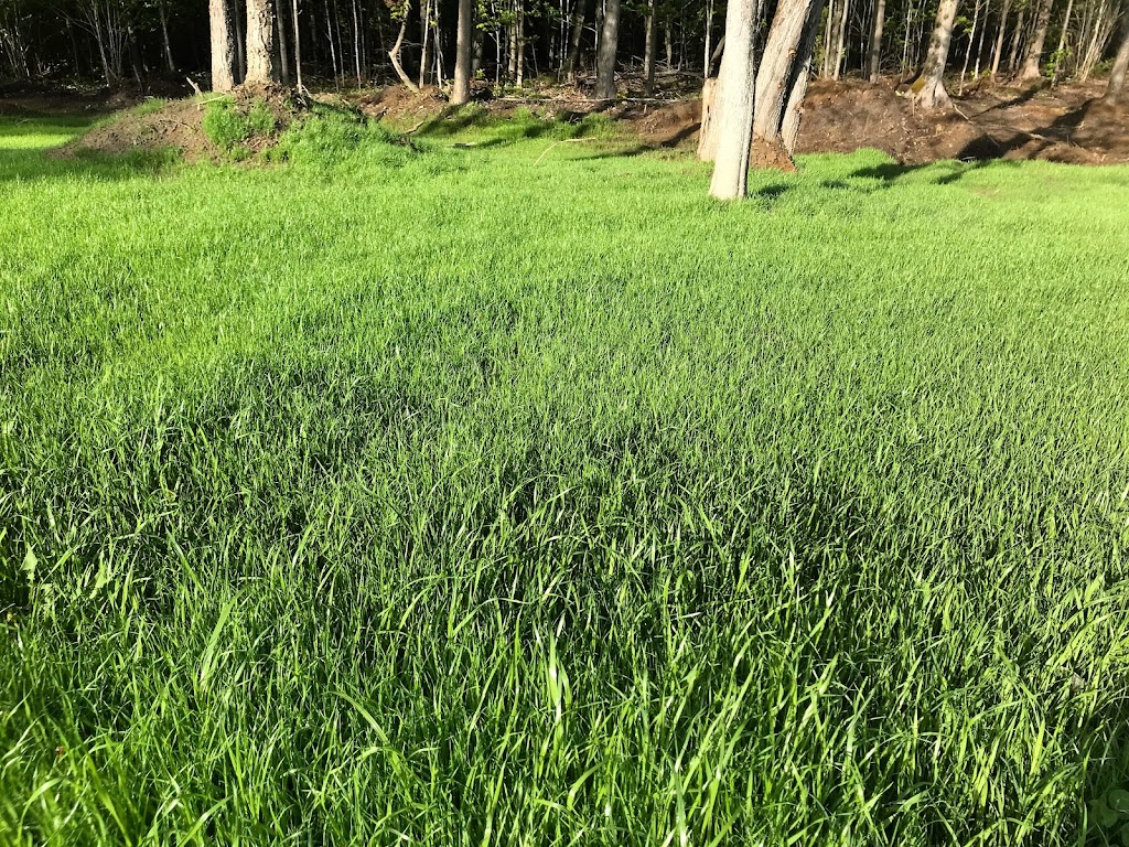 Norlock’s Hydroseeding Inc. | 224 Hila Rd, Pembroke, ON K8A 6W3, Canada | Phone: (613) 582-3566