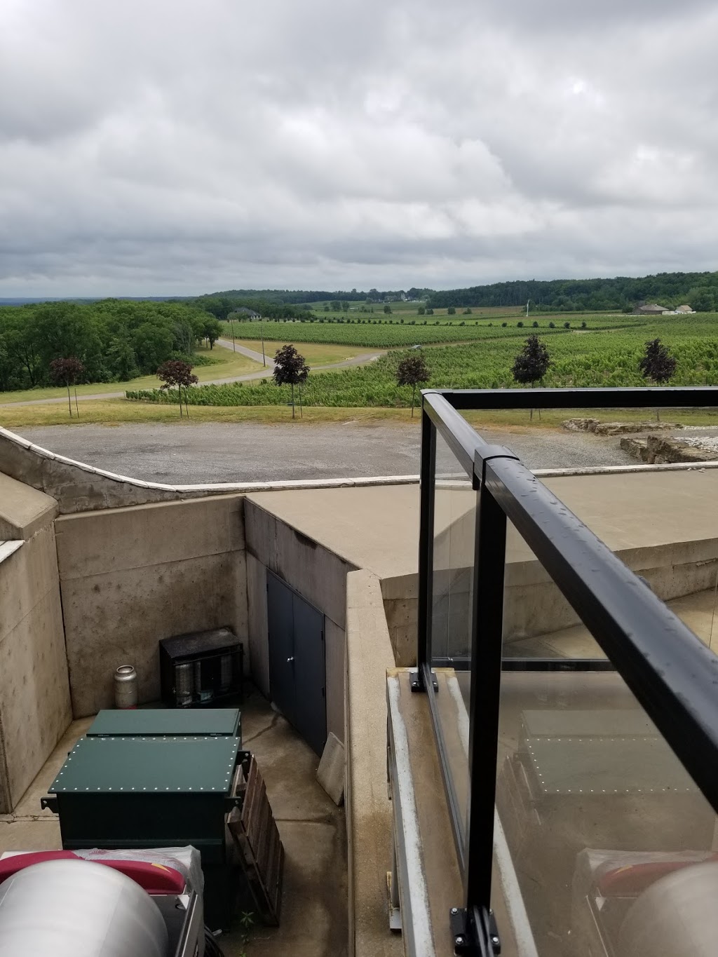 Megalomaniac Winery | 3930 Cherry Ave, Vineland, ON L0R 2C0, Canada | Phone: (905) 562-5155