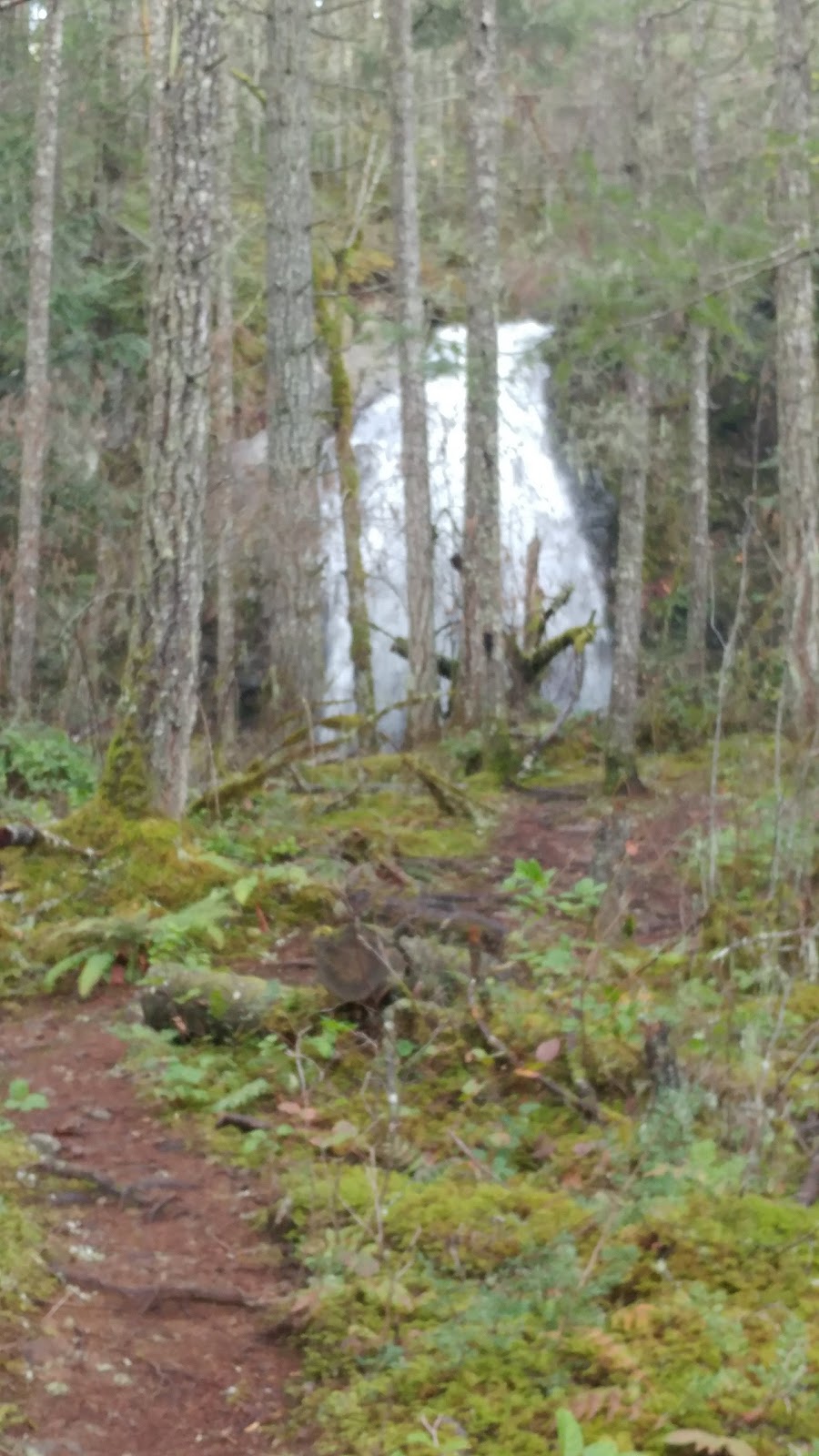 Christie Falls Access Point | 1M5, Oyster StoLo Rd, Ladysmith, BC V9G 1M4, Canada