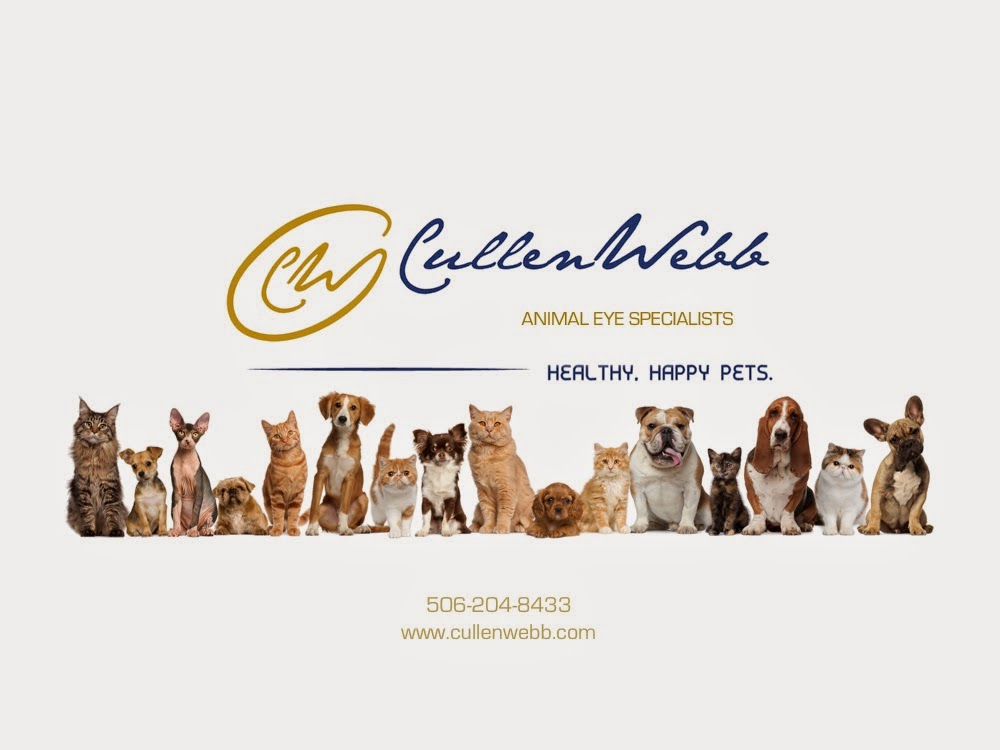 CullenWebb Animal Eye Specialists | 516 Pinewood Rd, Riverview, NB E1B 3R1, Canada | Phone: (506) 204-8433