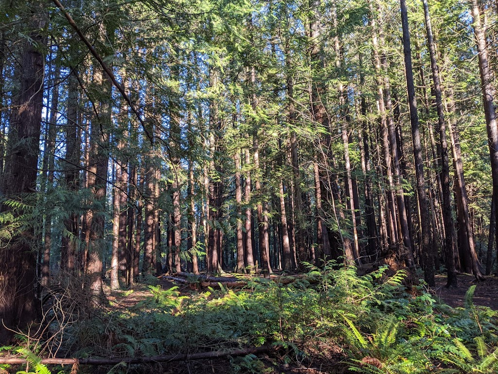 Sandwick Park | Muir Rd, Courtenay, BC V9N 4B6, Canada | Phone: (250) 334-4441