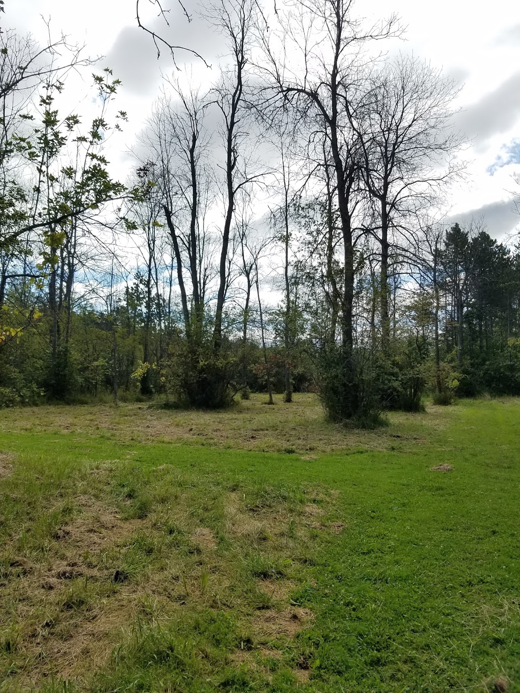 Clarence Nature Center | Thompson Rd, Clarence, NY 14031, USA | Phone: (716) 984-9046
