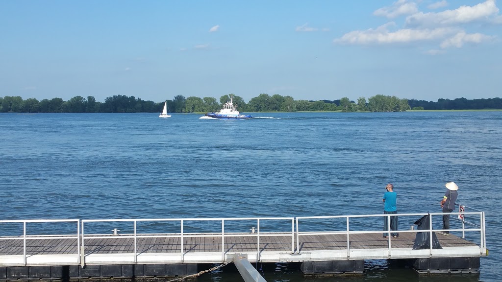 Park Capture-dEthan-Allen | 8500 Rue Bellerive, Montréal, QC H1L 5G5, Canada