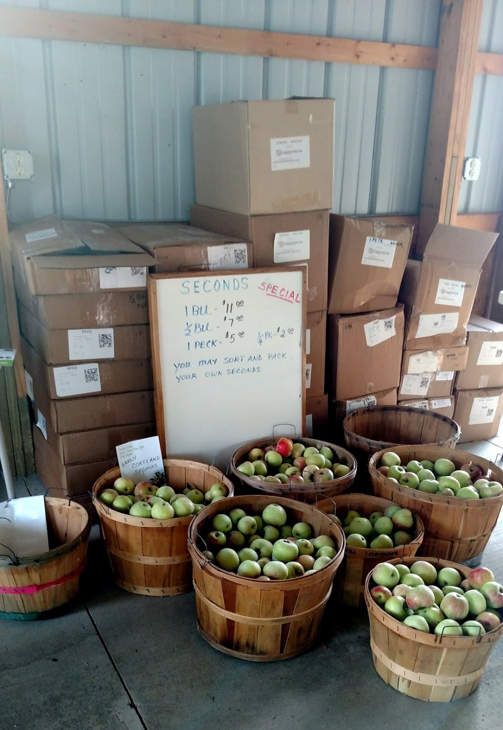 Stonehill Orchard | 2356 Shirley Rd, North Collins, NY 14111, USA | Phone: (716) 337-2380