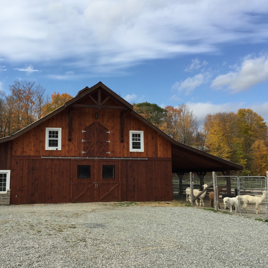 Alpagas Chelsea Alpacas | 1594 Route 105, Chelsea, QC J9B 1P4, Canada | Phone: (819) 459-1626
