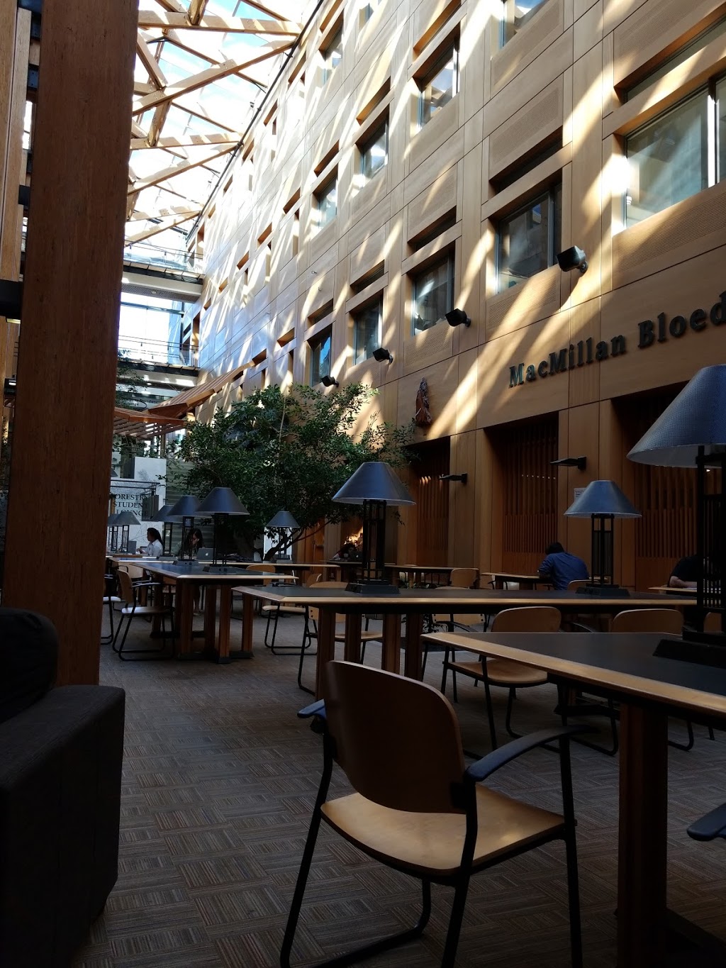 Ubc Forest Sciences Degree Requirements Ubc Forest Sciences Degree Requirements