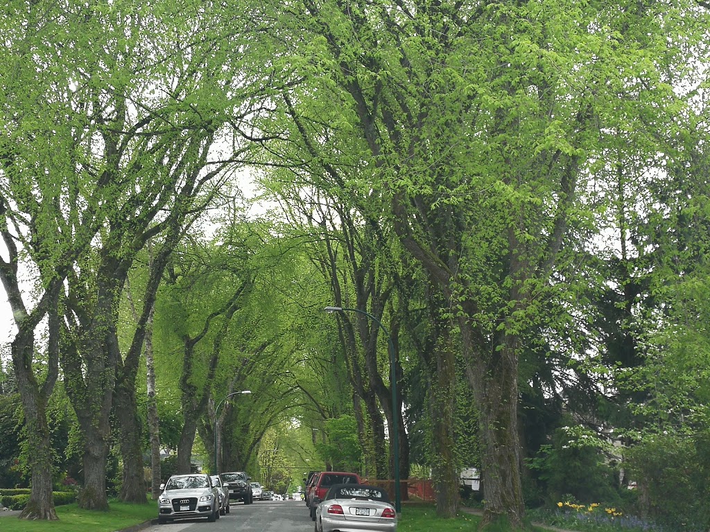 Valdez Park | 3210 W 22nd Ave, Vancouver, BC V6L 1N2, Canada