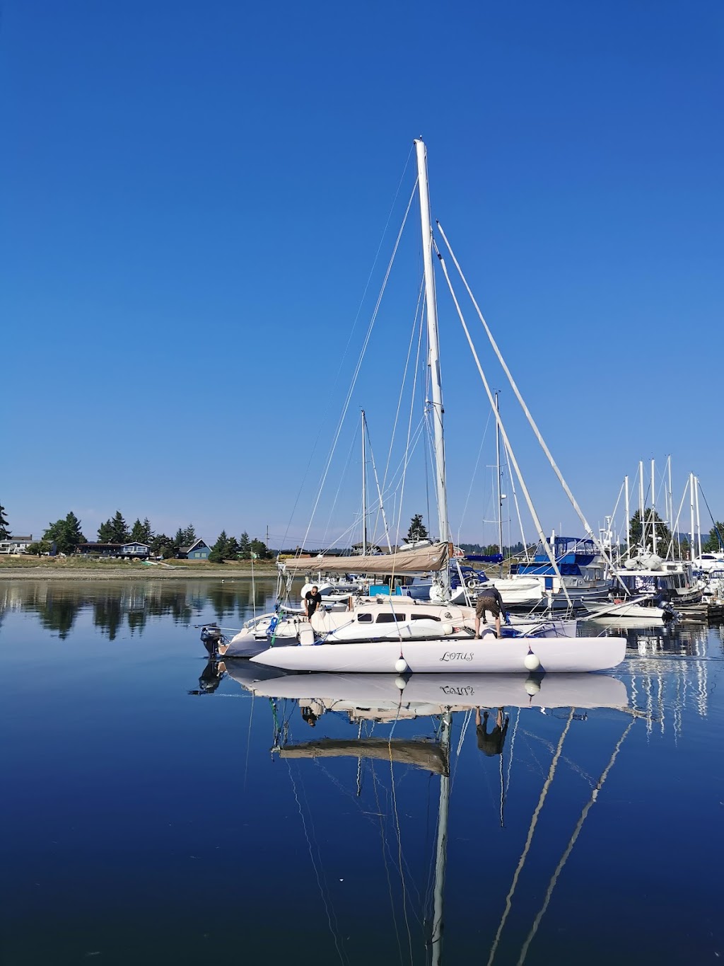 Ship and Shore Restaurant & Marine Fueling Station | 180 Crome Point Rd, Bowser, BC V0R 1G0, Canada | Phone: (250) 757-8399