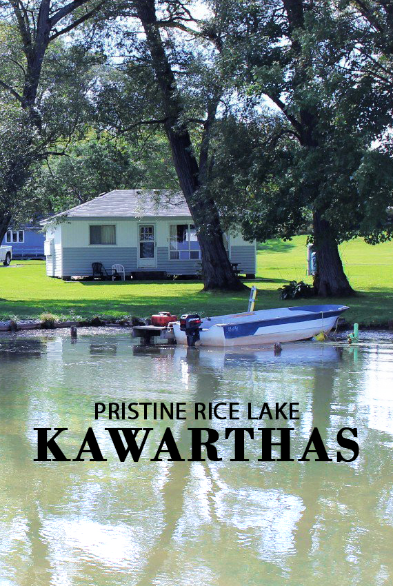 Pier 100 Cottages 6010 Rice Lake Scenic Dr, Gores Landing, ON K0K 2E0