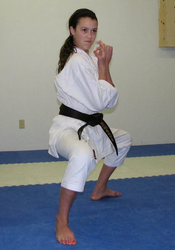 Tigers Lair Karate | 6625 Drummond Rd, Niagara Falls, ON L2G 4N4, Canada | Phone: (905) 371-8287
