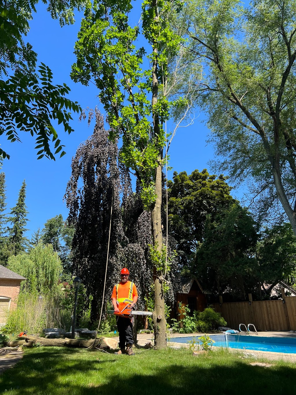 Anderstone Tree Service | 16656 Mississauga Rd, Terra Cotta, ON L7K 1L9, Canada | Phone: (416) 476-4269
