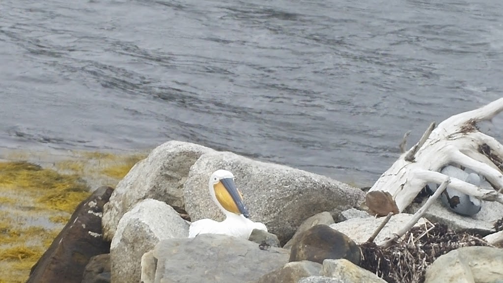 Sitemans Garage | Jeddore Oyster Ponds, NS B0J 1W0, Canada | Phone: (902) 889-2026