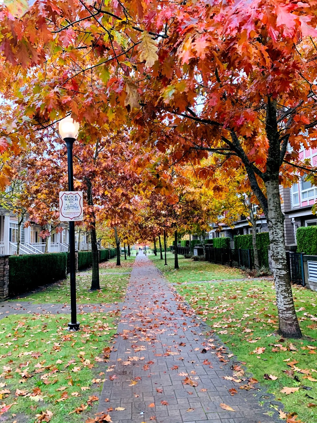 Vancouver Public Library, Champlain Heights Branch | 7110 Kerr St, Vancouver, BC V5S 4W2, Canada | Phone: (604) 665-3955