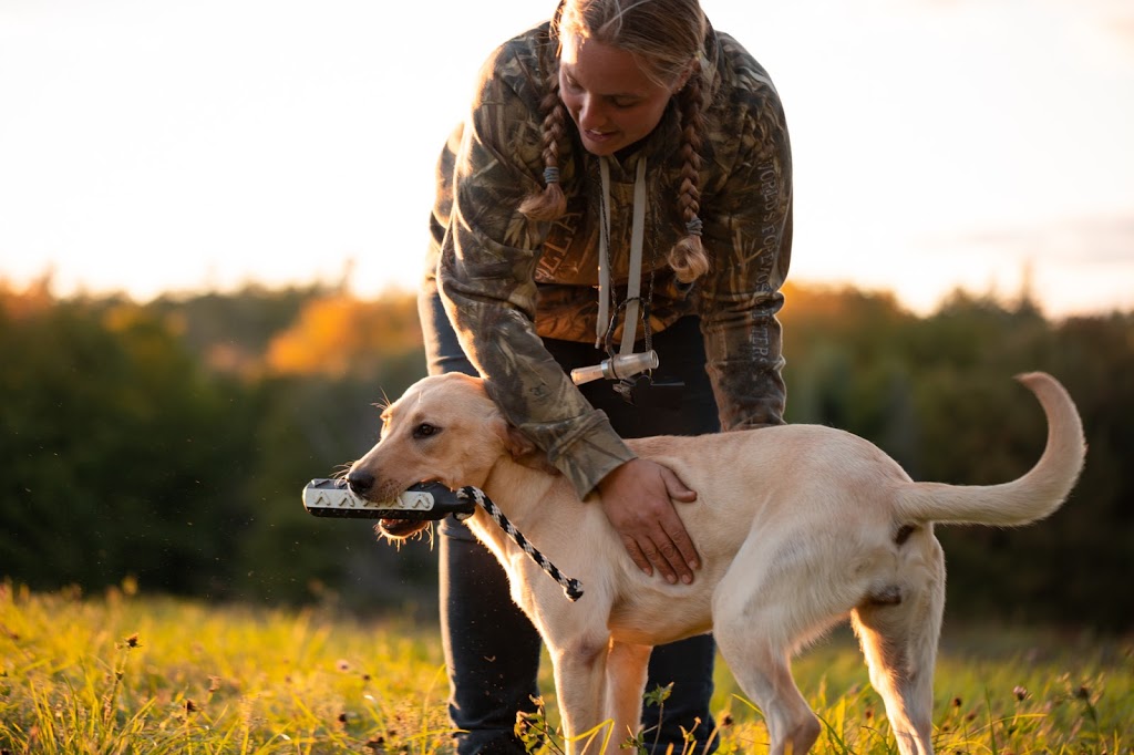 K Country Kennels | 1831 Black Creek Rd, Lanark, ON K0G 1K0, Canada | Phone: (613) 285-6137