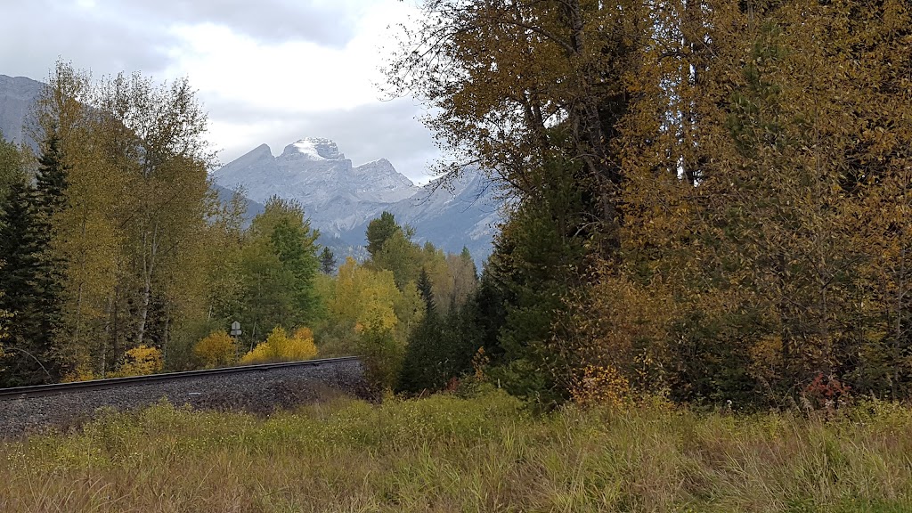 Fernie Mobile Home Park | 60 Cokato Rd, Fernie, BC V0B 1M4, Canada | Phone: (250) 423-6226