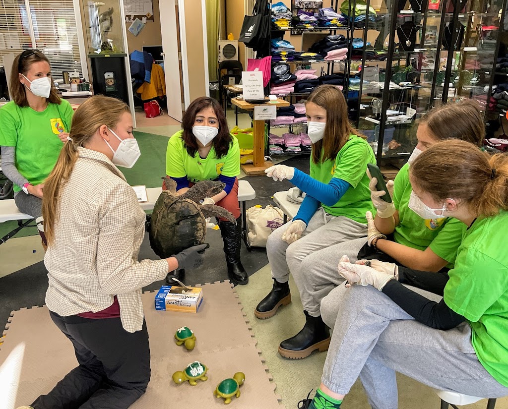 OTCC Turtle Education Centre | 1434 Chemong Rd #4, Peterborough, ON K9J 6X2, Canada | Phone: (705) 741-5000