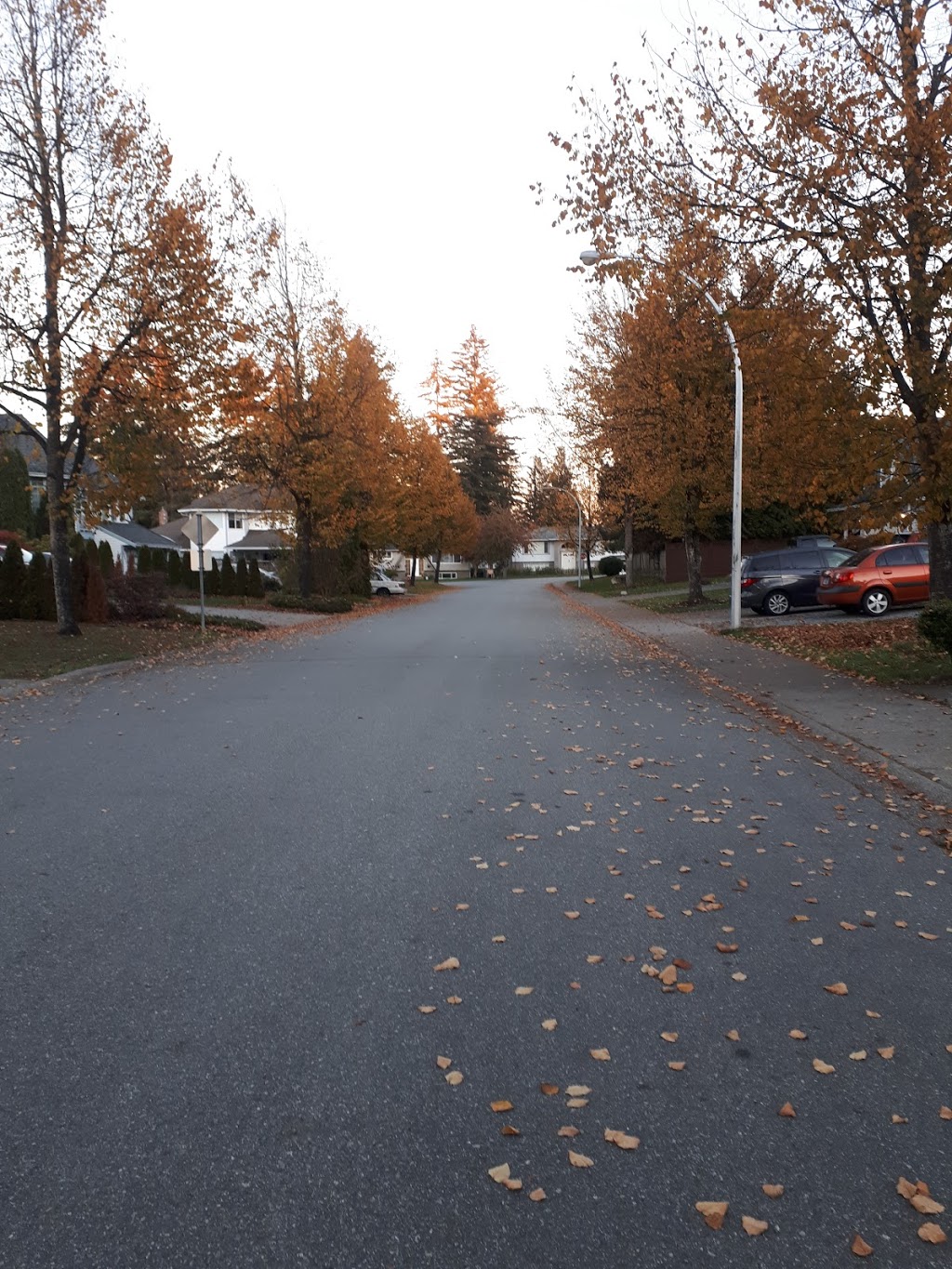 North Ridge Elementary School | 13460 62 Ave, Surrey, BC V3X 2J2, Canada | Phone: (604) 599-3900