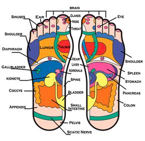 East Meets West Health | 30 Edinburgh Rd N Unit D, Guelph, ON N1H 7J1, Canada | Phone: (226) 780-7878