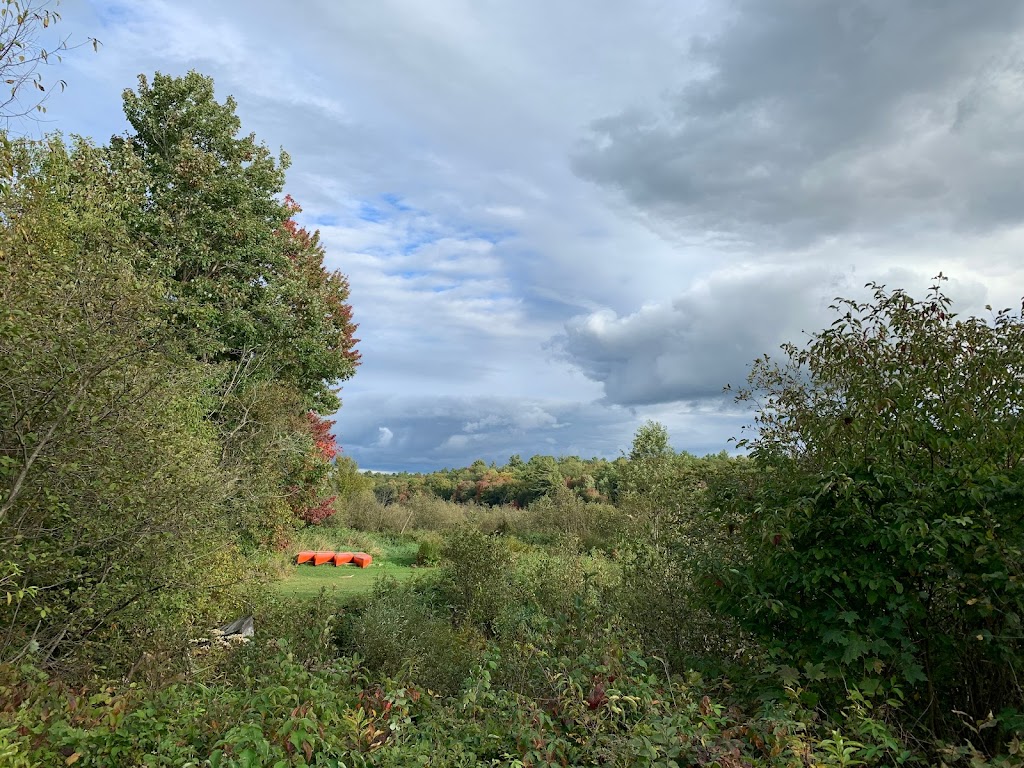 Camping in Muskoka | 1083 Reay Rd E, Gravenhurst, ON P1P 1R3, Canada | Phone: (705) 687-2333