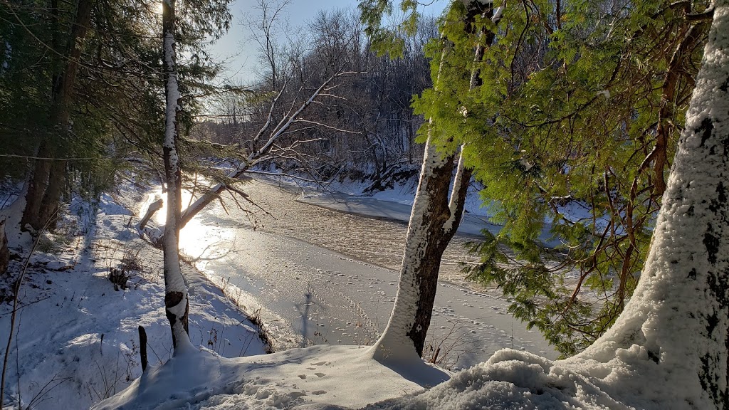Parc des Pins | 2355 Chemin Ste Marie, Mascouche, QC J7K 3T2, Canada | Phone: (450) 474-4133