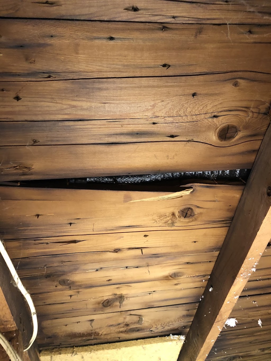 Tri County Inspection | 2516 County Rd 15, Picton, ON K0K 2T0, Canada | Phone: (613) 847-3810